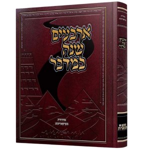 Picture of Arbaim Shanah Bamidbar Hebrew [Hardcover]